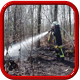 Brand > Wald / Flächen